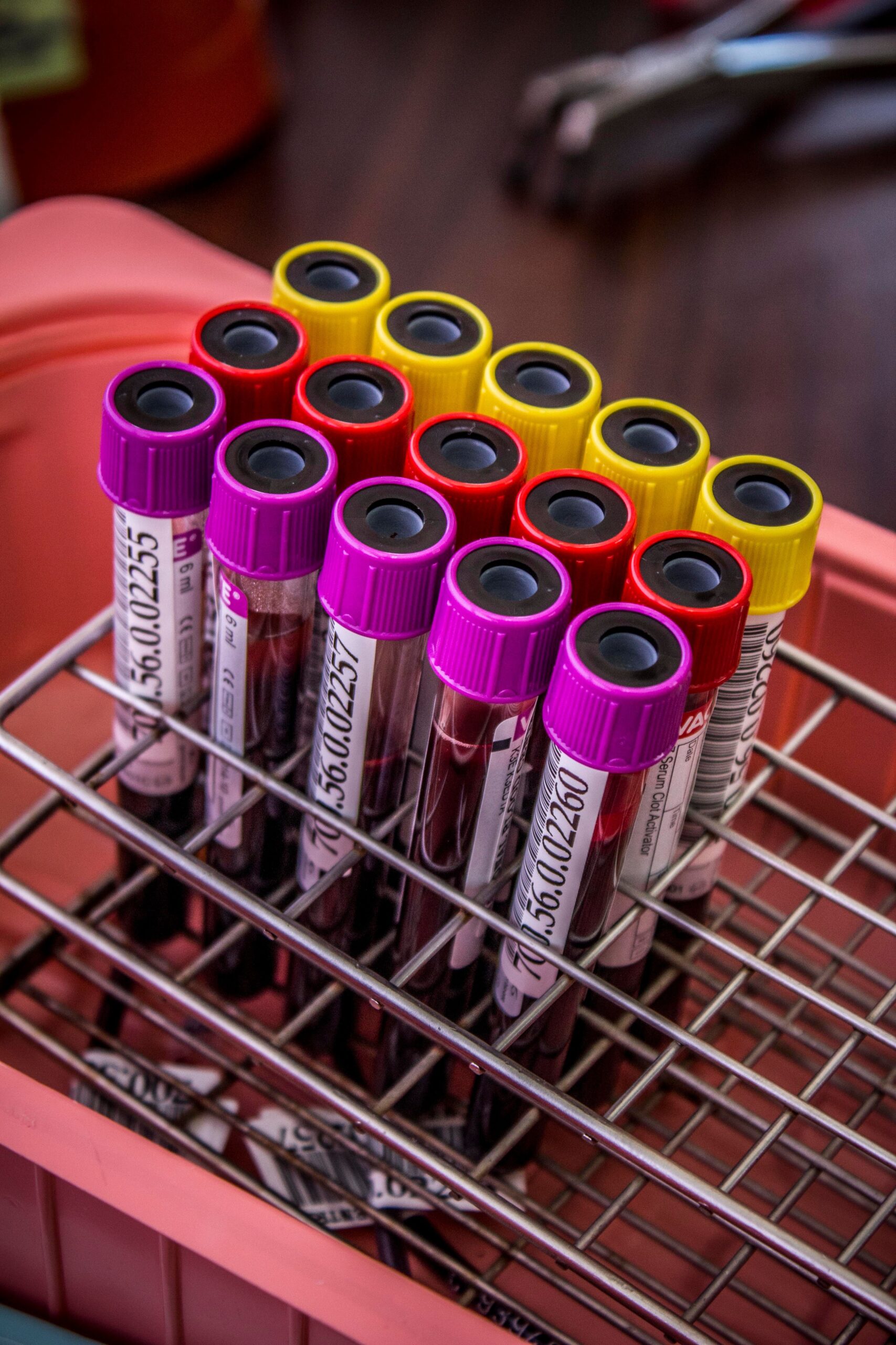 Hematologia
